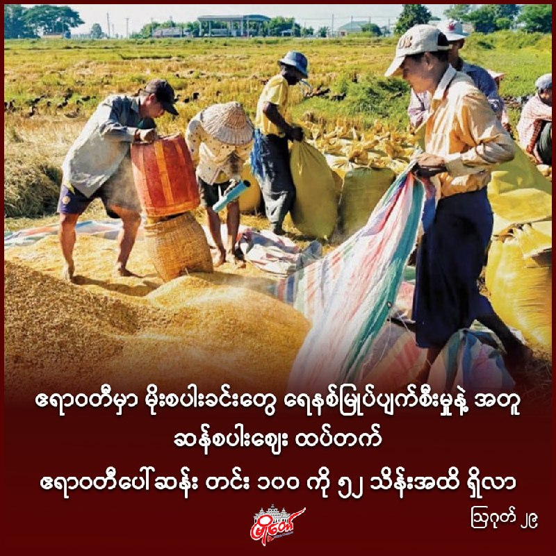 ဧရာဝတီမှာ မိုးစပါးခင်းတွေ ရေနစ်မြုပ်ပျက်စီးမှုနဲ့ အတူ ဆန်စပါးဈေး ထပ်တက်၊ ဧရာဝတီပေါ်ဆန်း တင်း ၁၀၀ ကို ၅၂ သိန်းအထိ ရှိလာ
