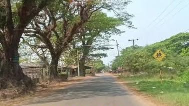 ကျိုက်ထိုမြို့ကို ဈေးလာဝယ်တဲ့ အမျိုးသမီး ၂ ဦး သေနတ်ပြ လုယက်ခံရပြီး ရွှေ ၃ ကျပ်သား ပါသွားတယ်လို့ဆို