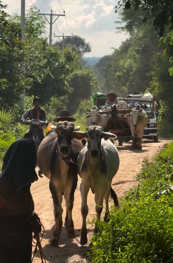 မြိုင်နယ်မှာ ပါရာမော်တာ ၈ စင်းနဲ့ ရွာတွေကို လိုက်လံဗုံးကြဲနေလို့ ဒေသခံတွေ ထွက်ပြေးနေရ