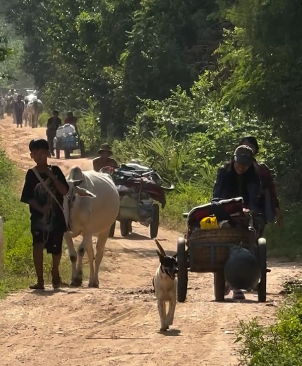မြိုင်နယ်မှာ ပါရာမော်တာ ၈ စင်းနဲ့ ရွာတွေကို လိုက်လံဗုံးကြဲနေလို့ ဒေသခံတွေ ထွက်ပြေးနေရ