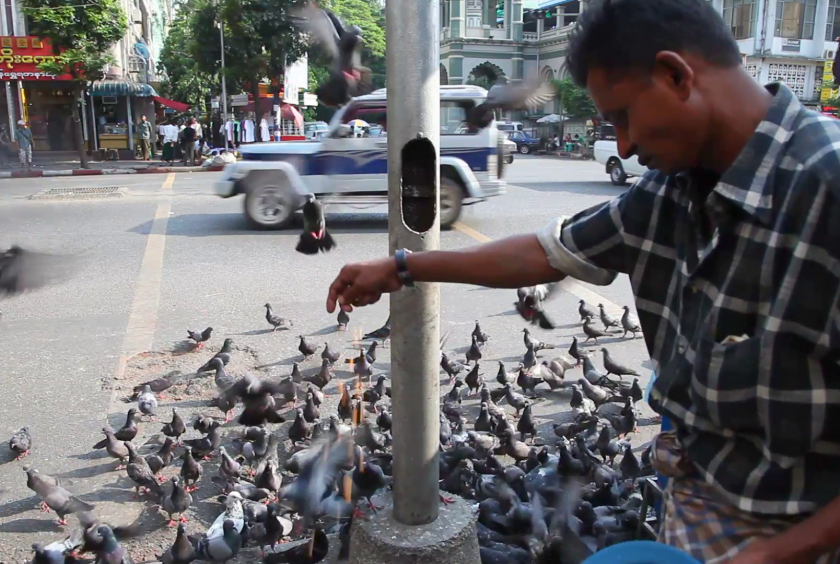 ရန်ကုန်မှာ ကားနဲ့ပတ်ပြီး ခိုလိုက်ဖမ်းနေသူတွေကို အရေးယူပေးဖို့ ဒေသခံတွေ တောင်းဆိုနေသလို ကျန်းမာရေးဆိုင်ရာ အငြင်းပွားဖွယ်လည်းရှိနေ