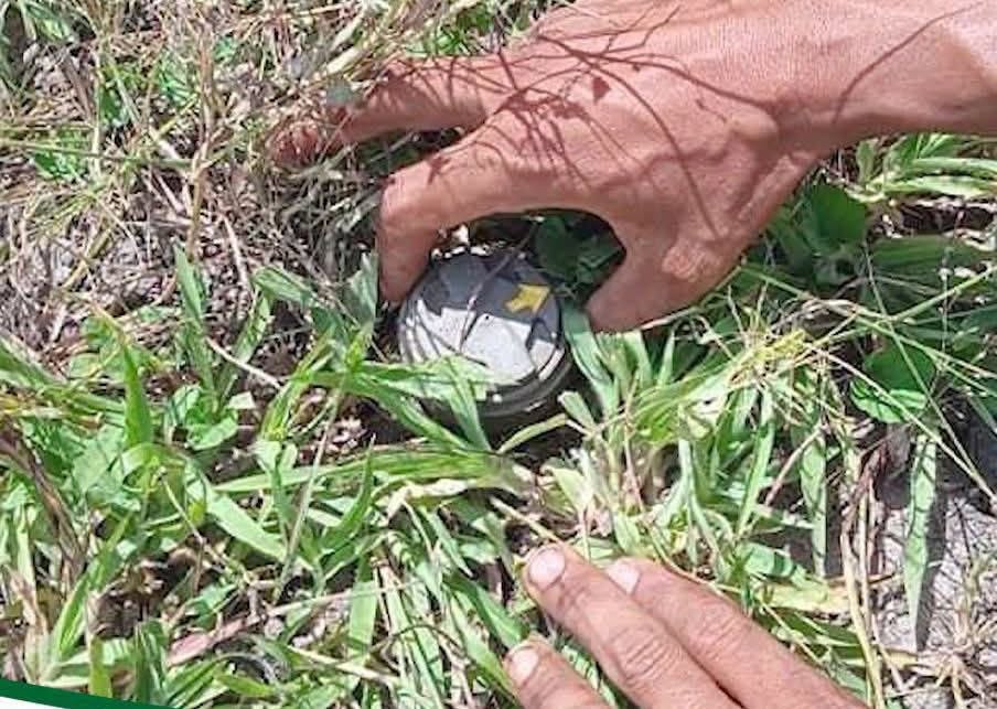 ပုလောမြို့နယ်မှာ ပလုံကောက်တဲ့ အမျိုးသမီး ၁ ဦး မြေမြှုပ်မိုင်းနင်းမိလို့ သေဆုံး