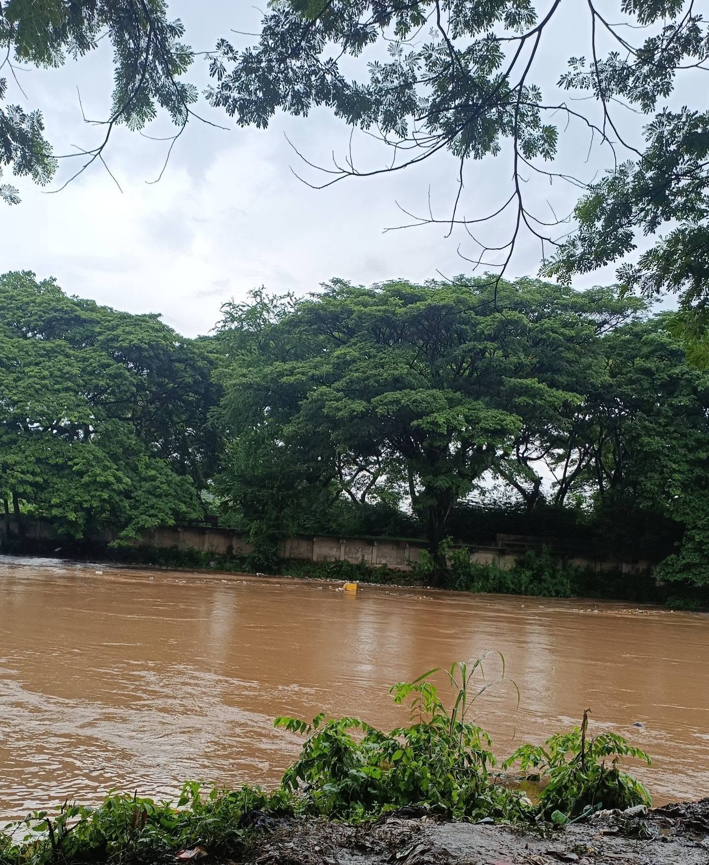 ဧရာဝတီမြစ်ဖျားပိုင်းမှာ မိုးအဆမတန် များပြားလာနိုင်တာကြောင့် မြစ်ရေကြီးမှုတွေ ဖြစ်ပေါ်လာနိုင်တယ်လို့ဆို