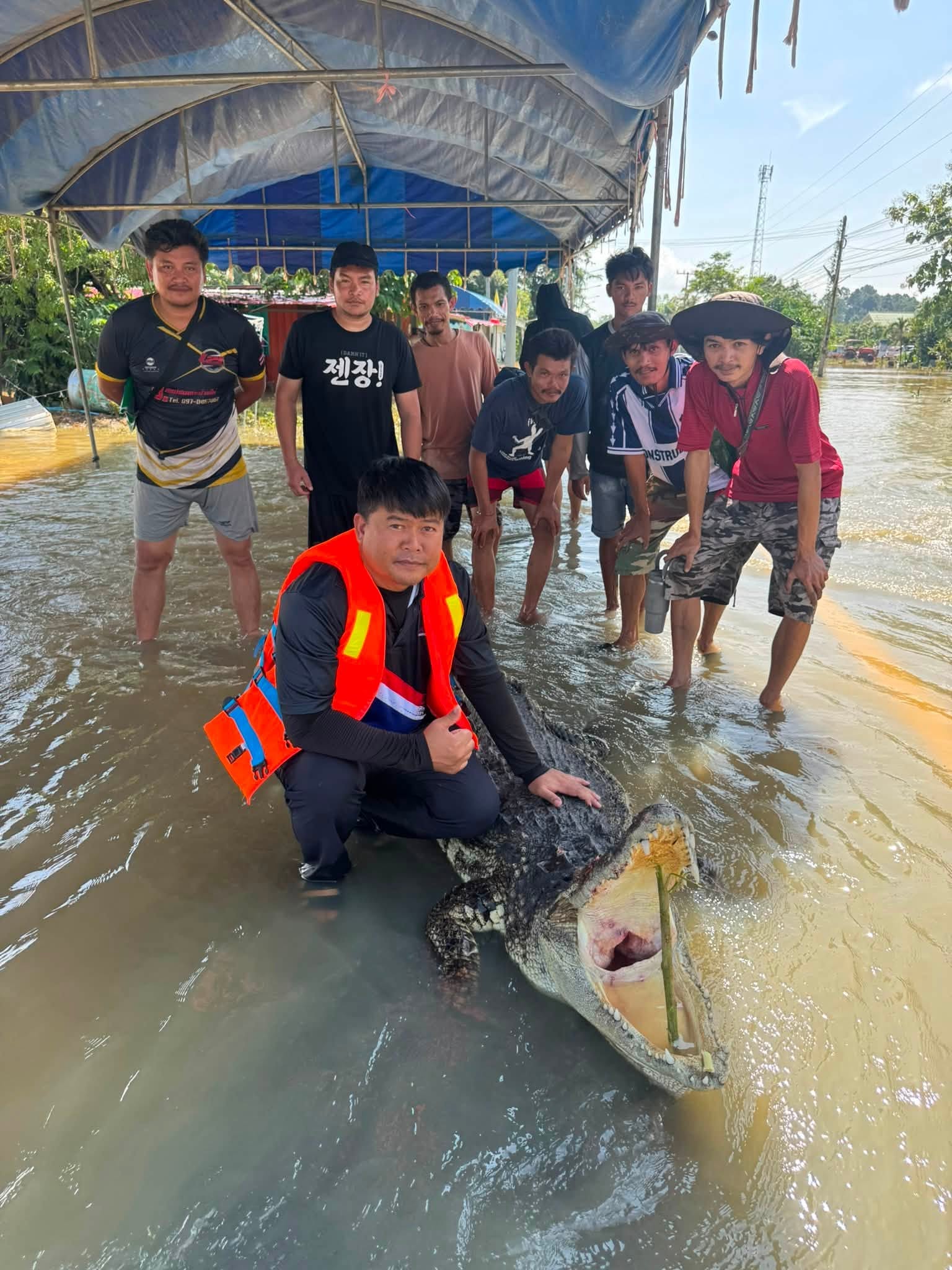 ရေကြီးနေချိန် အရှည် ၂ မီတာခန့် မိကျောင်းတွေ့လို့ ဘေးကင်းရေးအတွက် သုတ်သင်ရှင်းလင်းခဲ့ရ