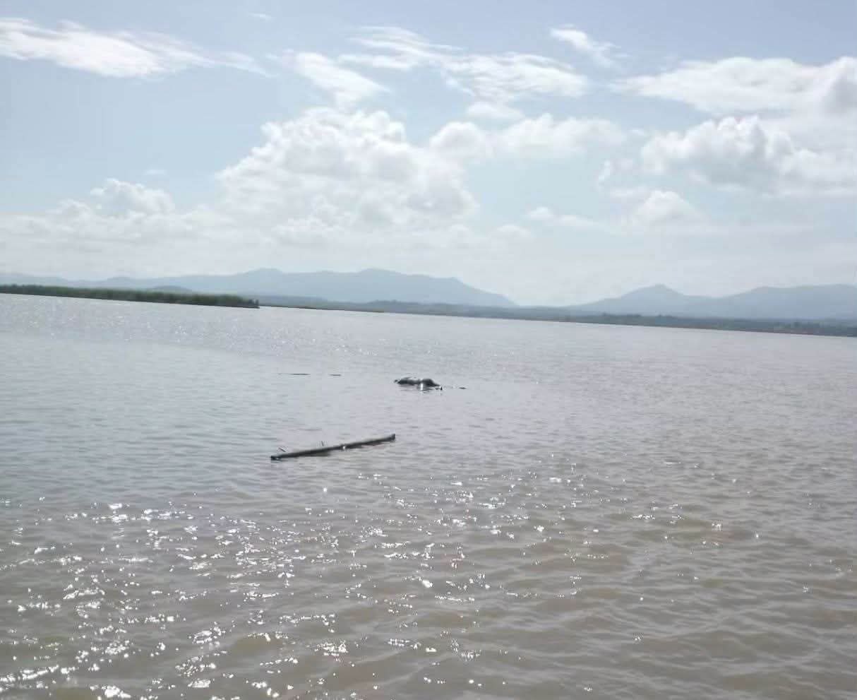 ဗန်းမော်ကို တက်လာတဲ့ စစ်တပ် ရေယာဥ်အုပ်စုက သေဆုံးရုပ်အလောင်းတွေကို  ဒေသခံတွေက ဆယ်ယူပြီး သင်္ဂြိုဟ်ပေးနေရ 