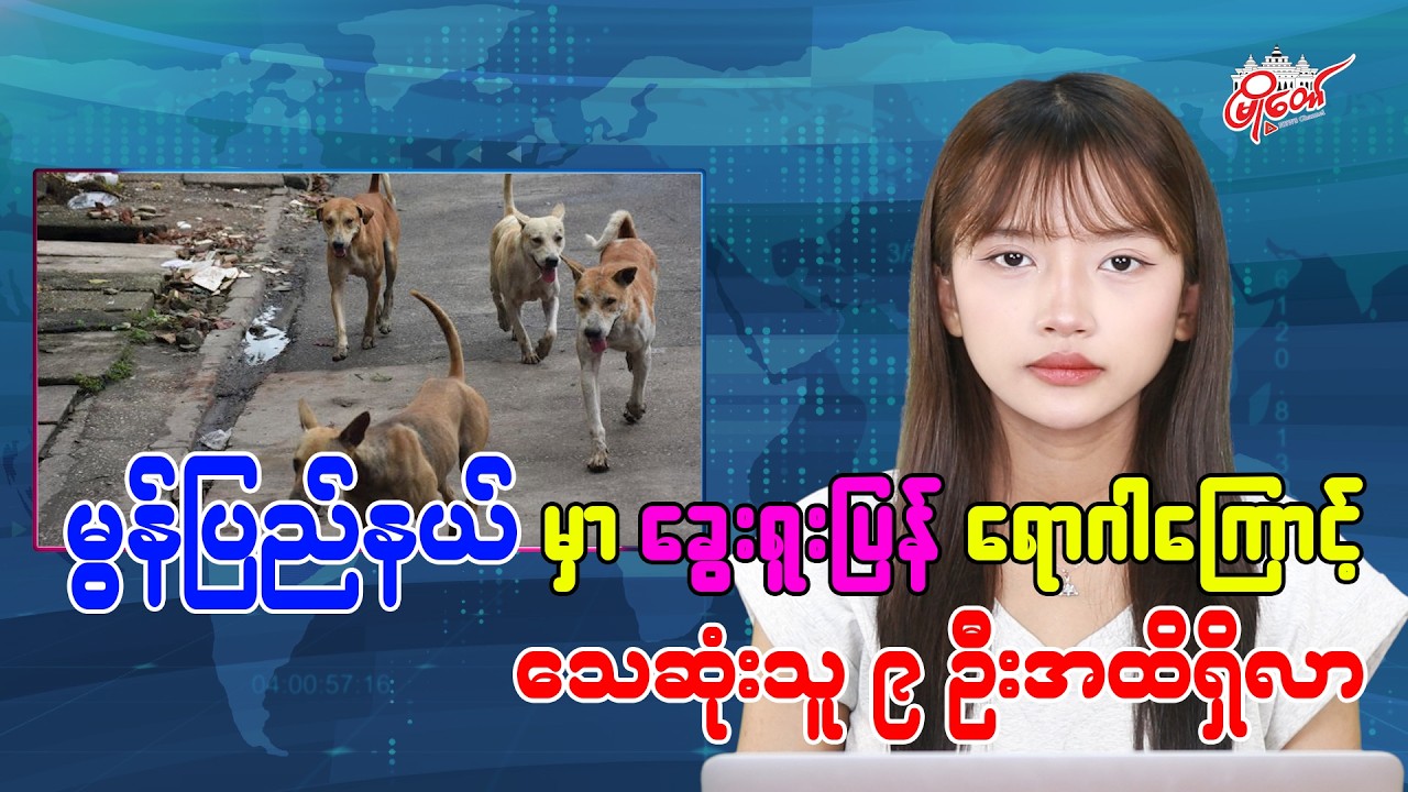 မွန်ပြည်နယ်မှာ ခွေးရူးပြန်ရောဂါကြောင့် သေဆုံးသူ ၉ ဦးထိရှိလာ