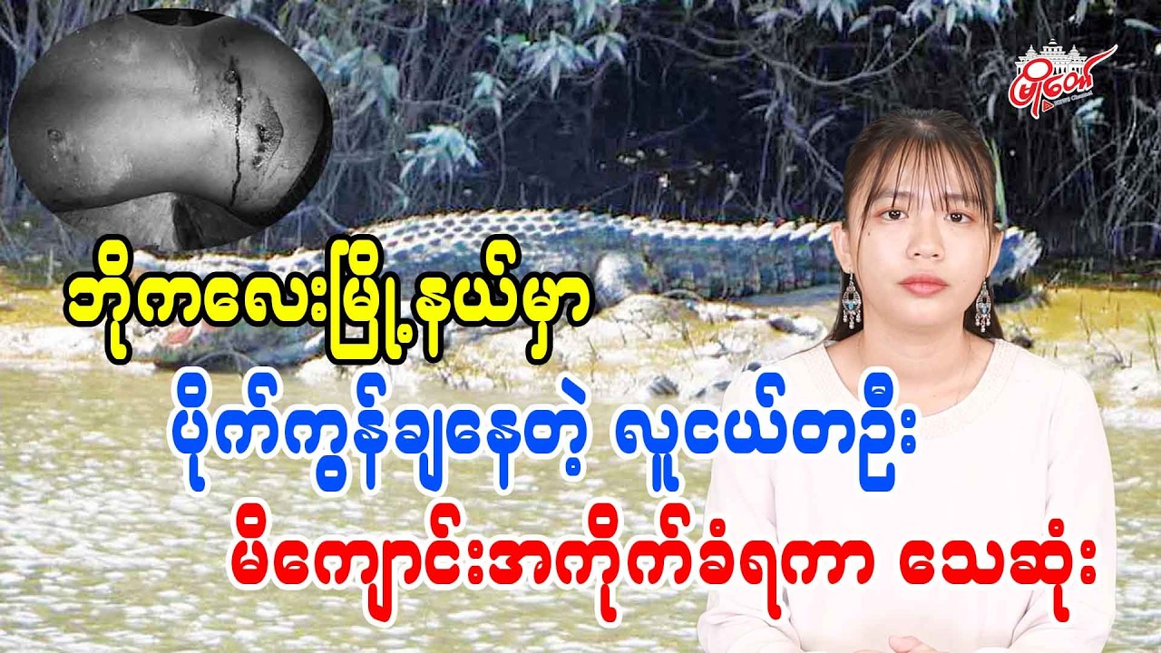 ဘိုကလေမြို့နယ်မှာ ပိုက်ကွန်ချနေတဲ့ လူငယ်တဦး မိကျောင်းအကိုက်ခံရကာ သေဆုံး