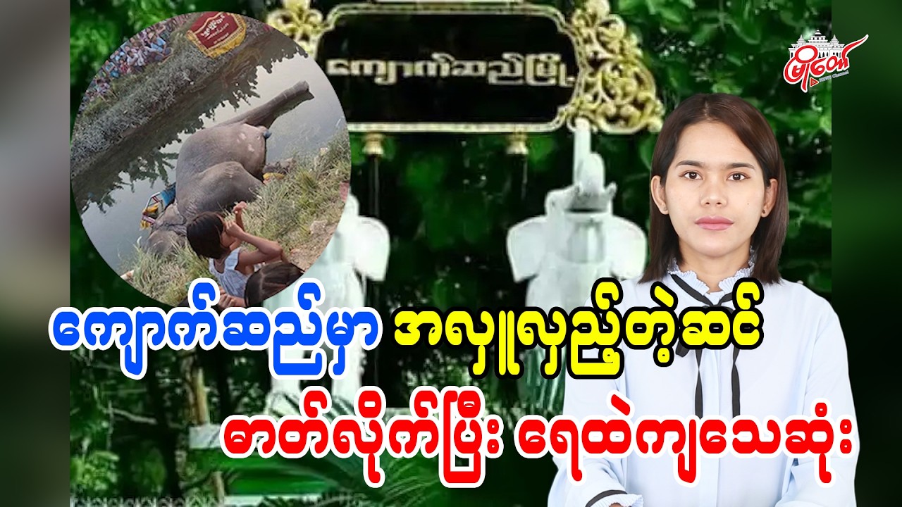 ကျောက်ဆည်မှာ အလှူလှည့်တဲ့ဆင် ဓာတ်လိုက်ပြီး ရေထဲကျသေဆုံး