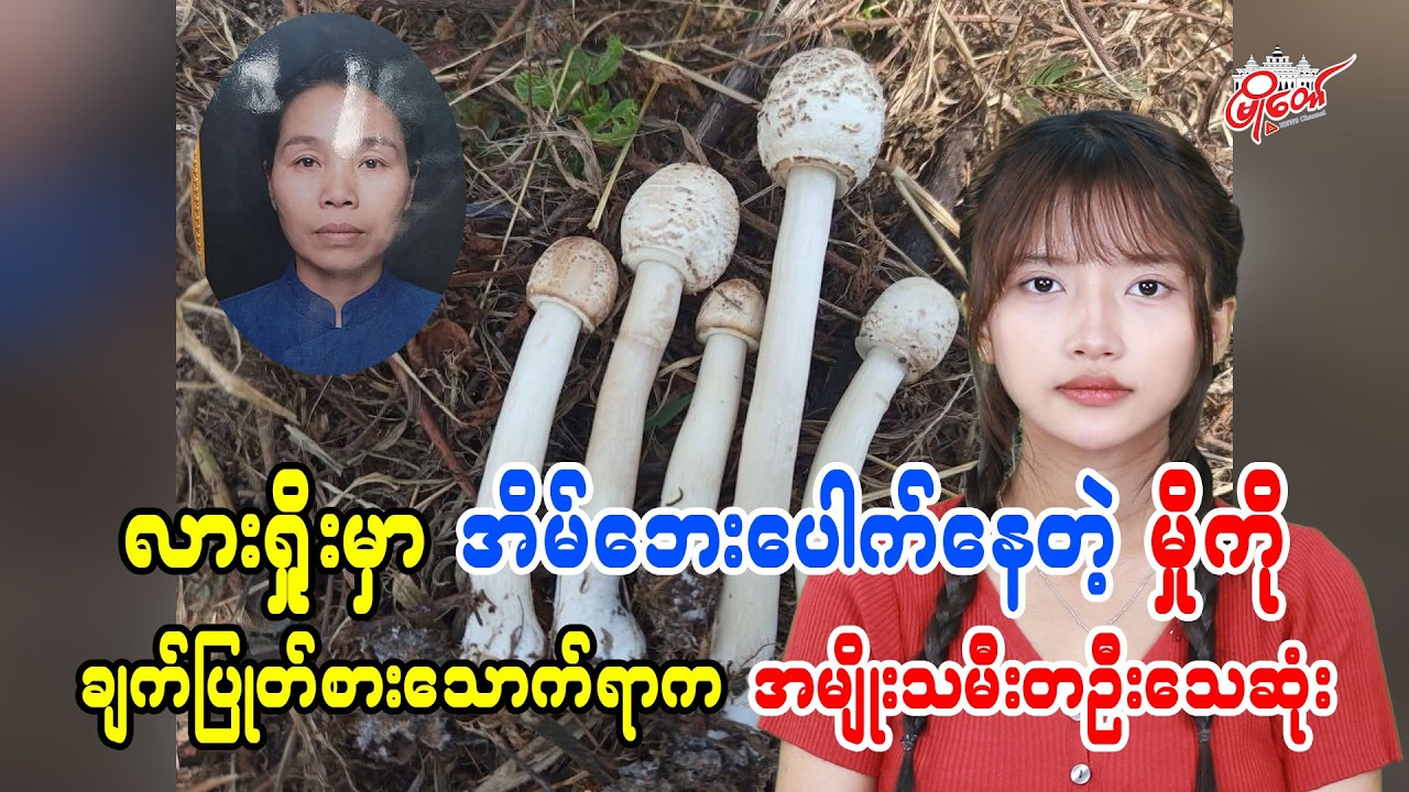 လားရှိုးမှာ အိမ်ဘေးမှာပေါက်နေတဲ့မှိုကို ခူးယူချက်ပြုတ်စားသာက်ရာက အမျိုးသမီးတဦးသေဆုံး